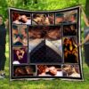 Quilt  02473  Quilt